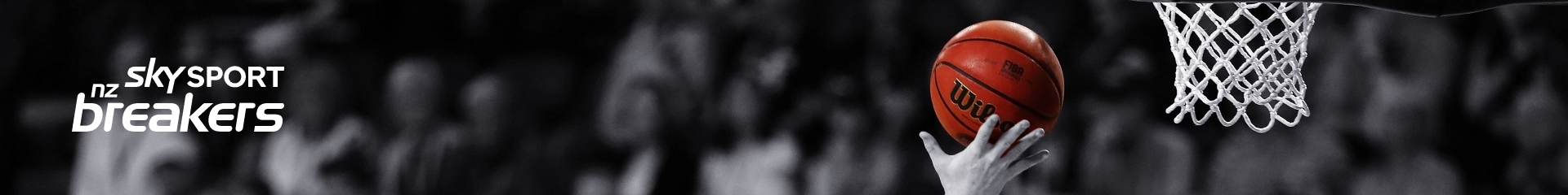 Site Banner
